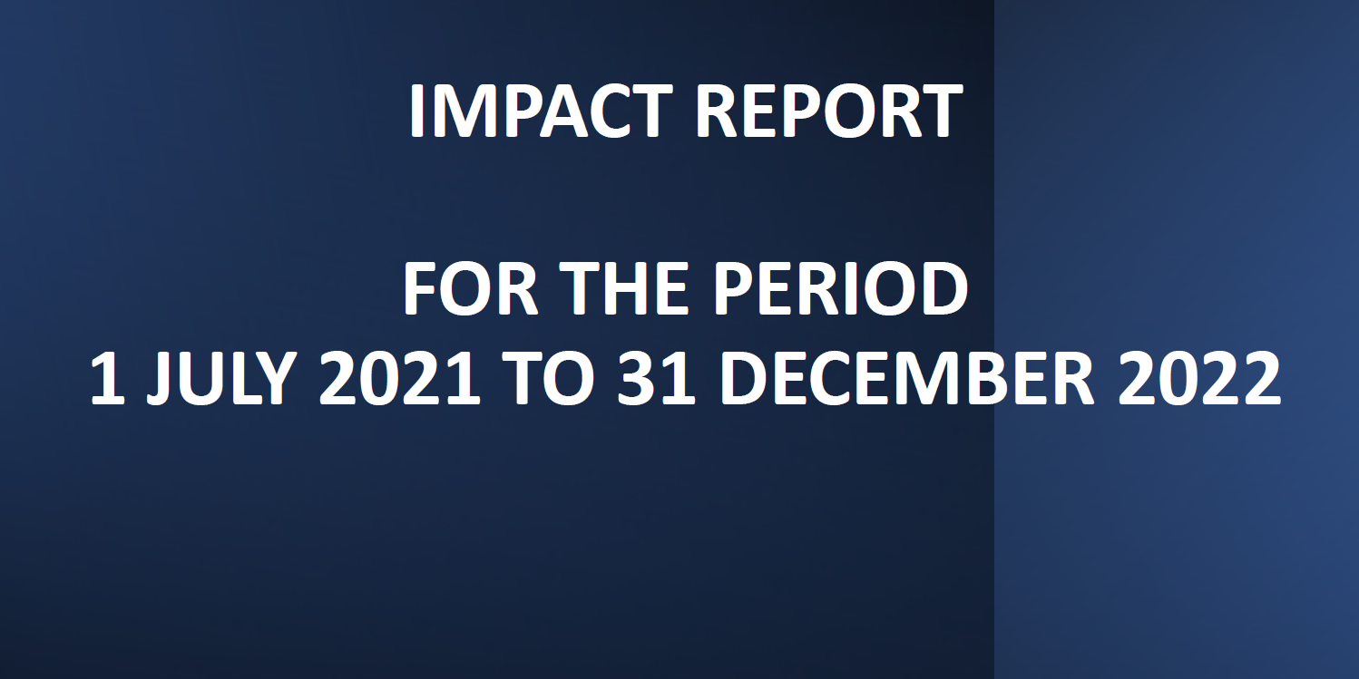 impact report