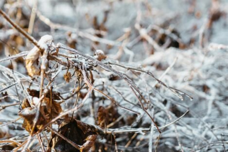 pexels-polina-kovaleva-6265425